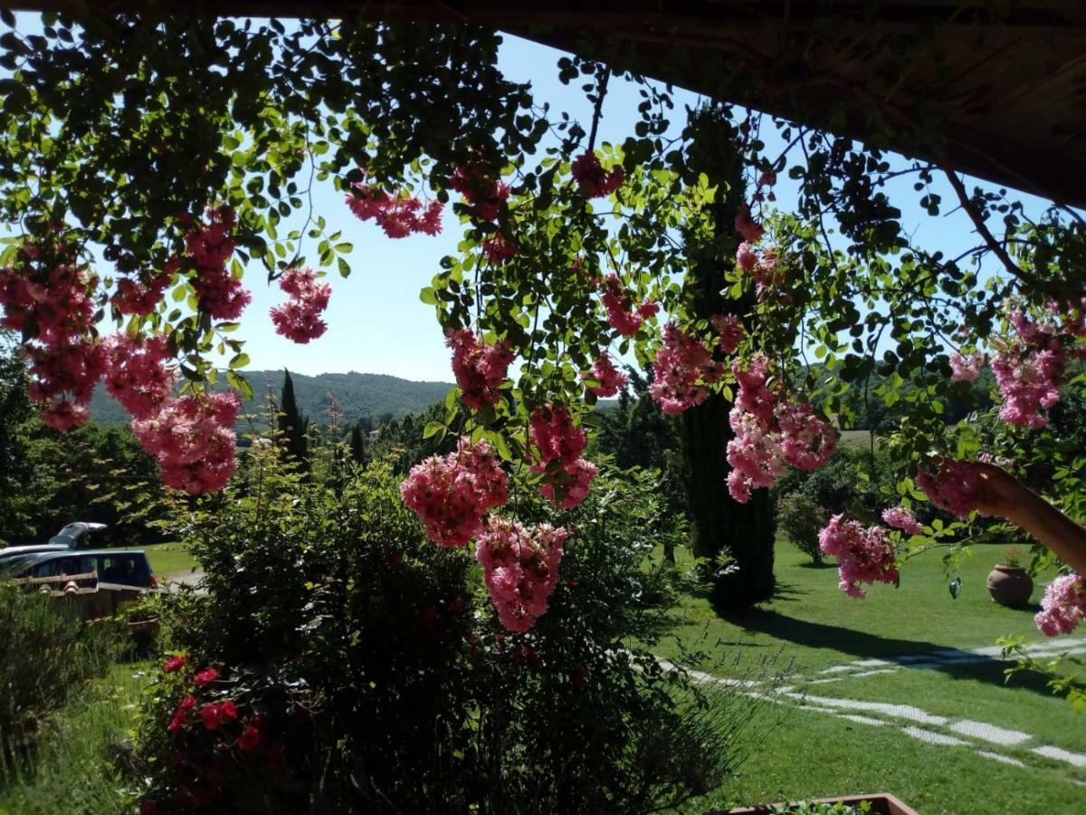 Residence Lucignano Dış mekan fotoğraf
